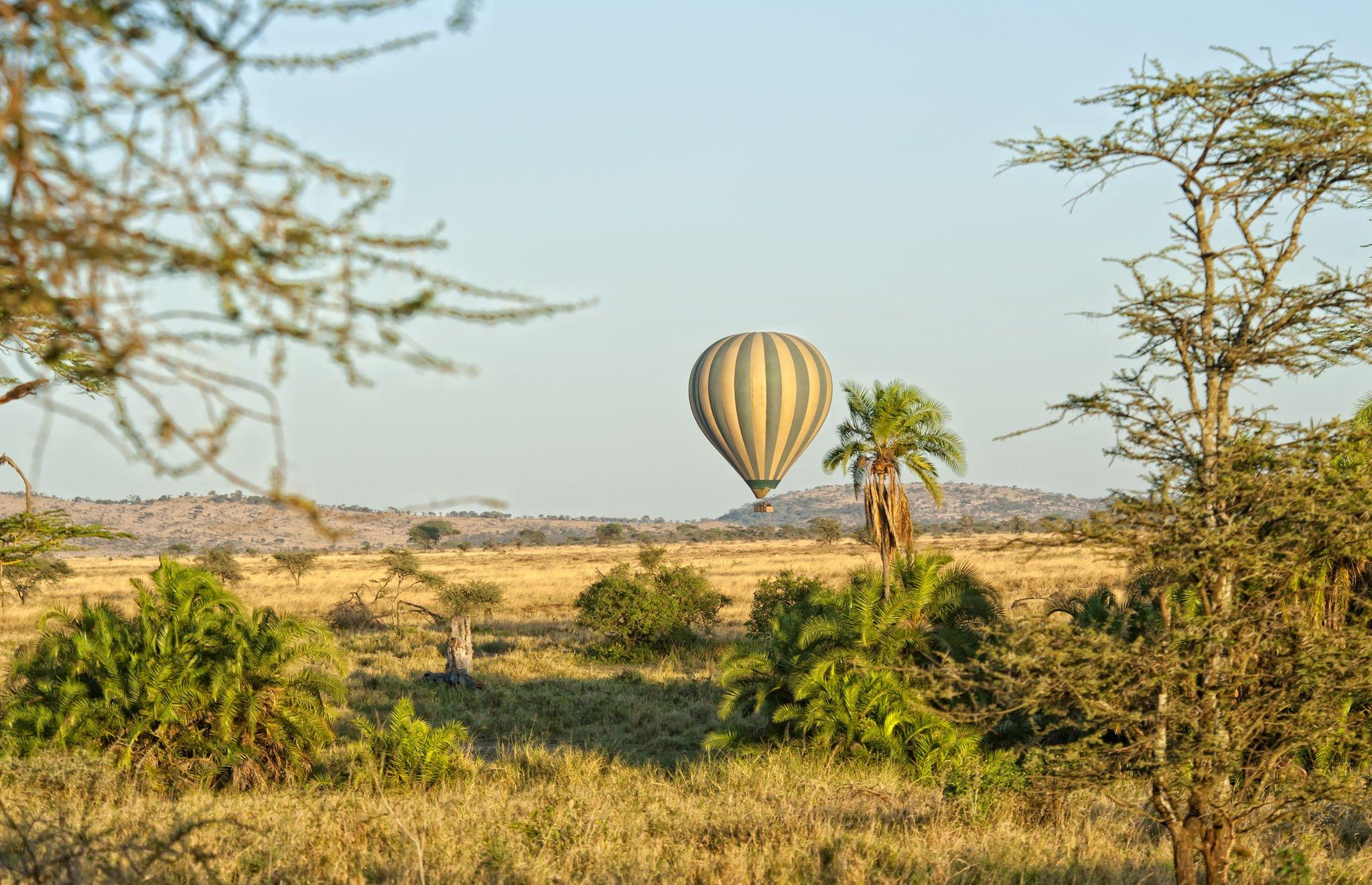 3 DAYS TANZANIA SAFARI