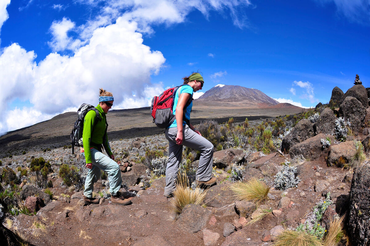 Read more about the article 5 DAYS MOUNT KILIMANJARO MARANGU ROUTE