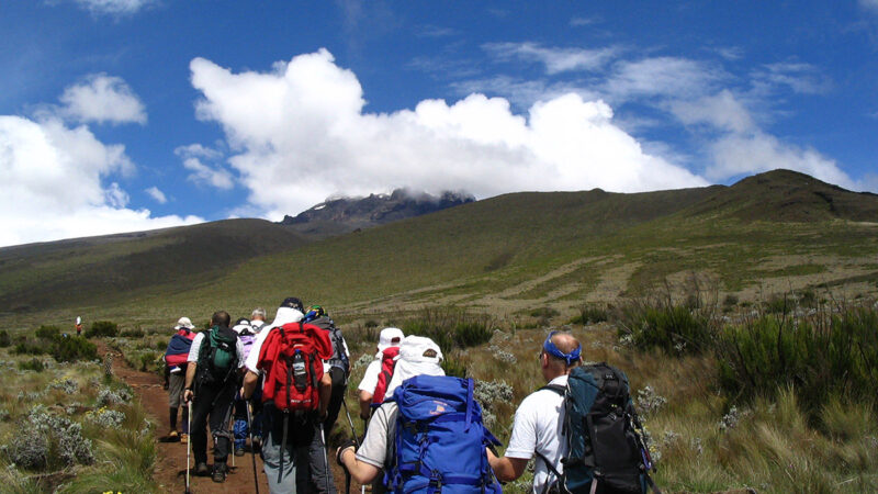 6 DAYS MOUNT KILIMANJARO UMBWE  ROUTE