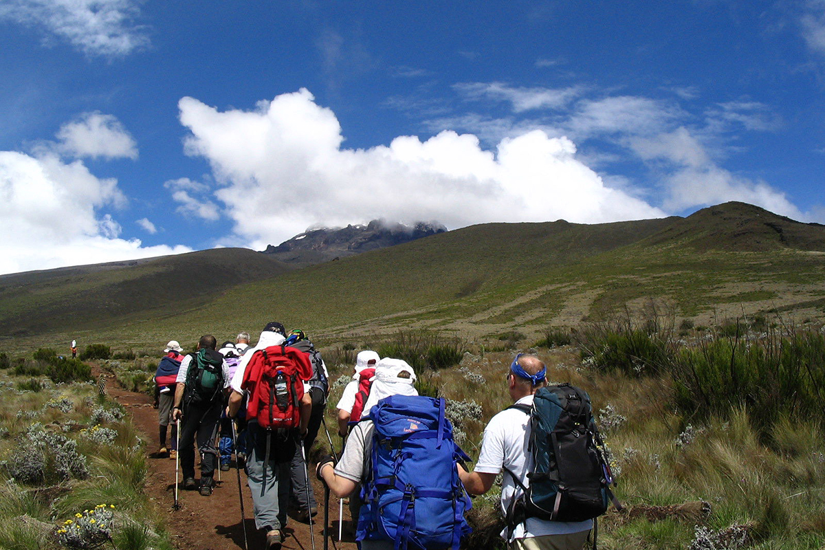 Read more about the article 6 DAYS MOUNT KILIMANJARO UMBWE  ROUTE