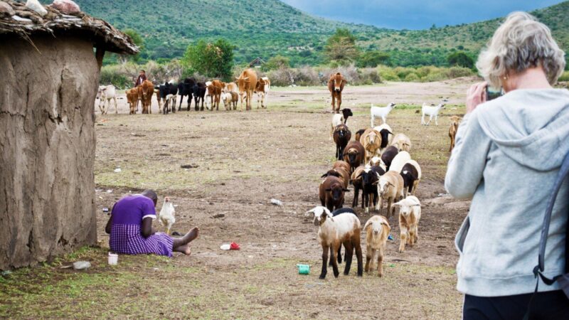 6 DAY FAMILY  WILDEBEEST MIGRATION SAFARI.