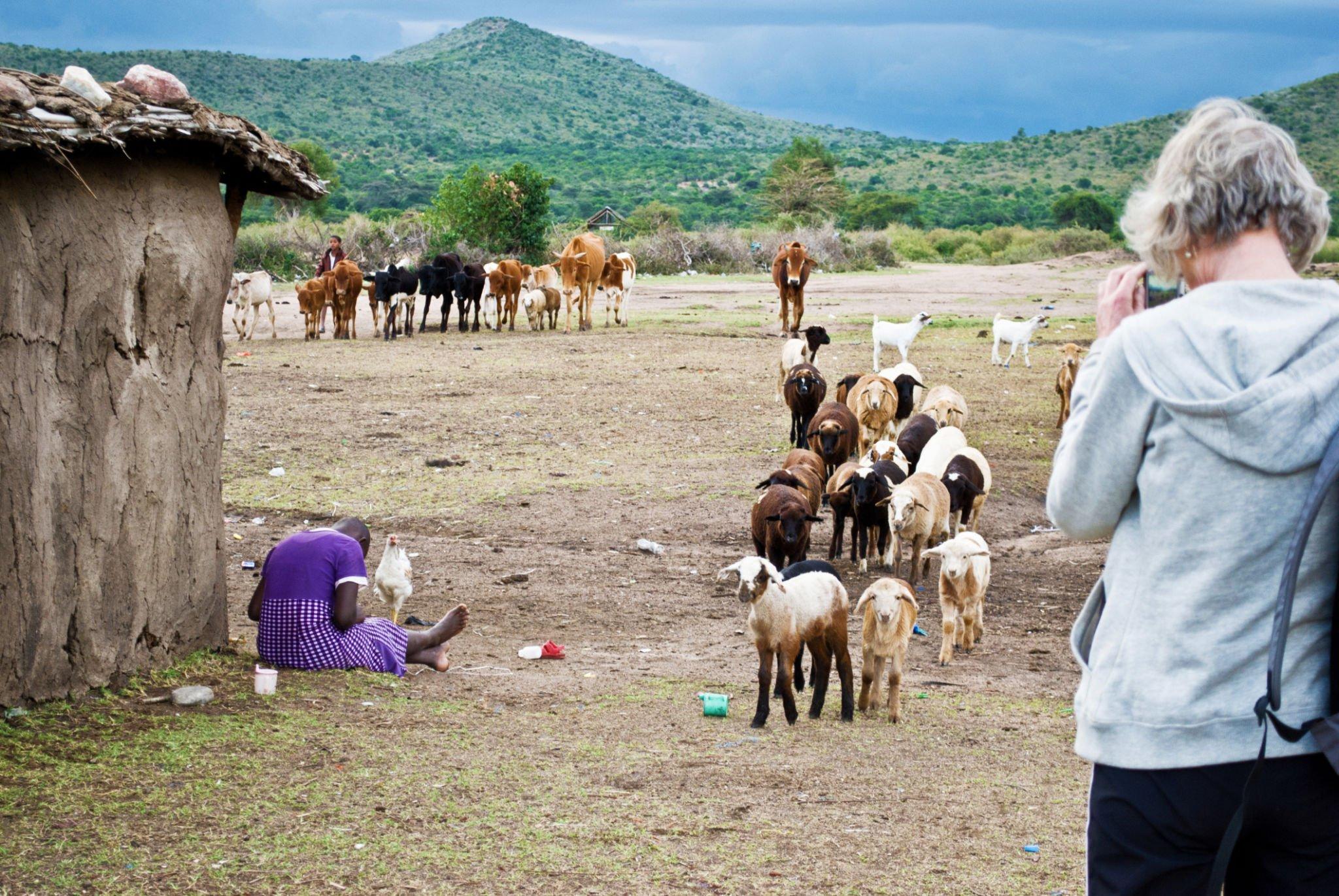 Read more about the article 6 DAY FAMILY  WILDEBEEST MIGRATION SAFARI.