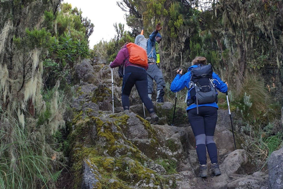 Read more about the article 6 DAYS MOUNT KILIMANJARO SHIRA  ROUTE