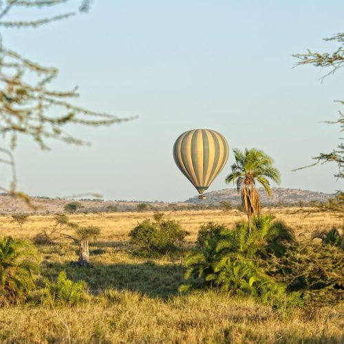 3 DAYS TANZANIA SAFARI